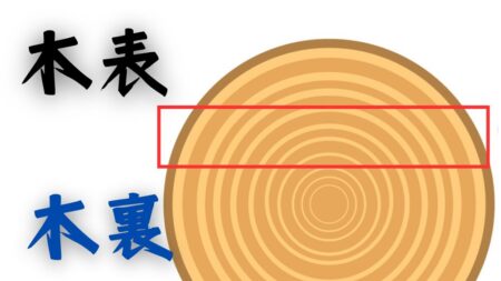 木材の木表、木裏の違いとその使い方について解説する。