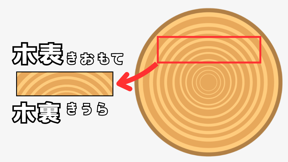 木材の木表と木裏が材木のどの位置から加工されているのか説明する。