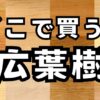 DIYにオススメの広葉樹が買えるネットショップを紹介