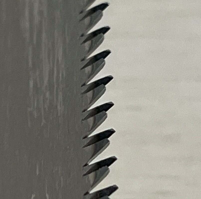 のこぎりの刃を拡大してみるとアサリを確認することができる