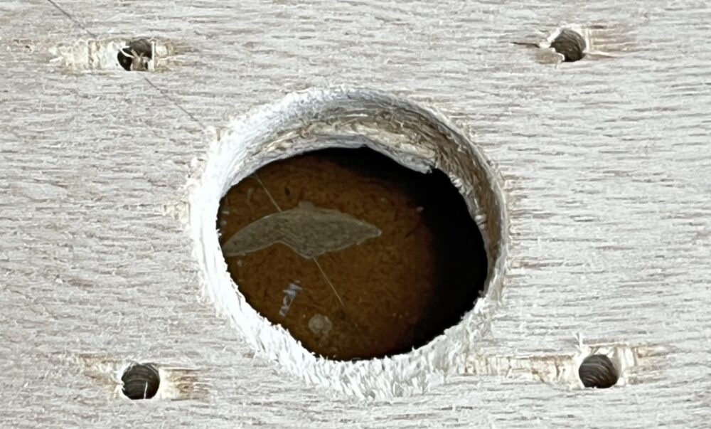 バリの発生した穴