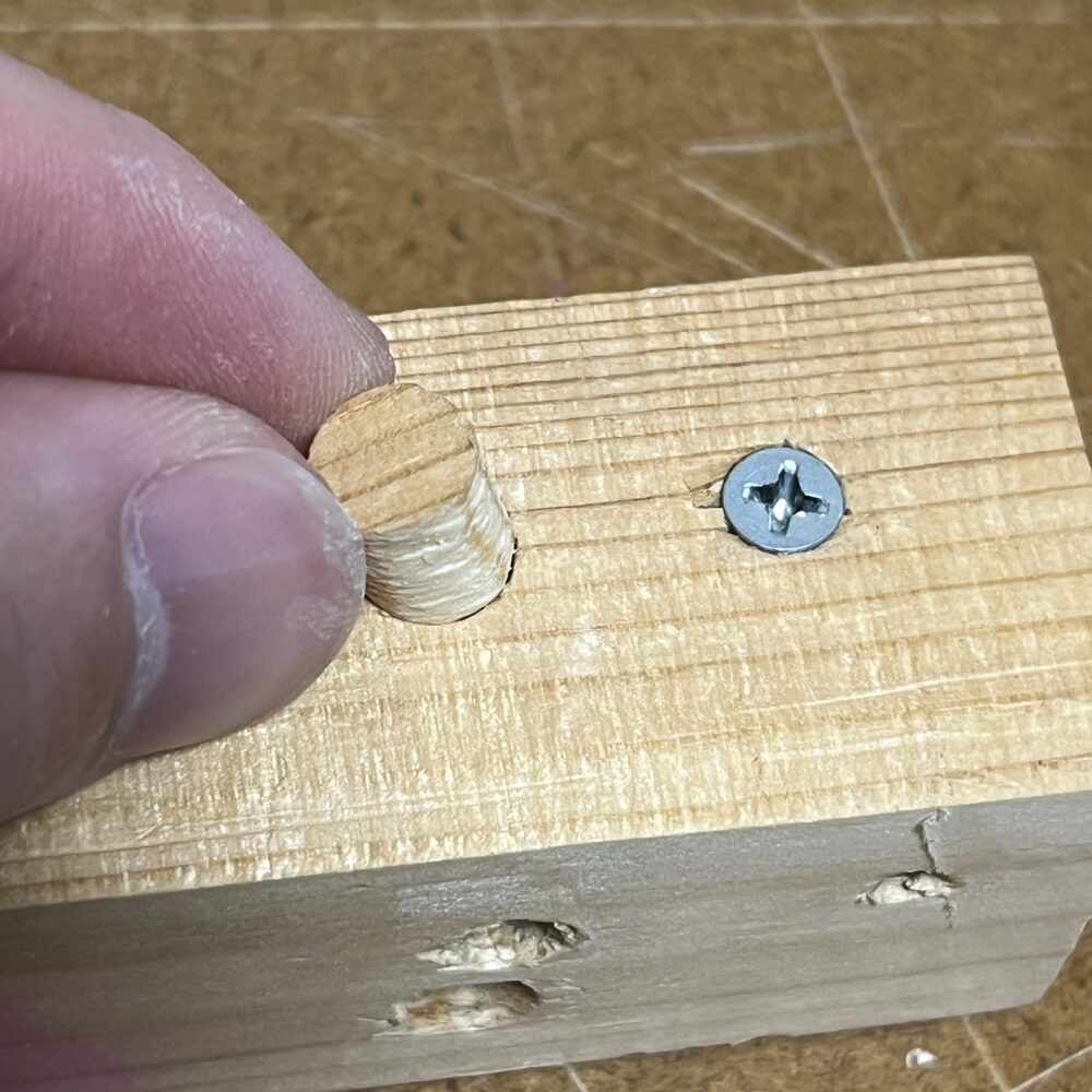 ダボ埋め、埋木