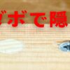 ネジ頭を隠す【ダボ埋め】やり方完全ガイド